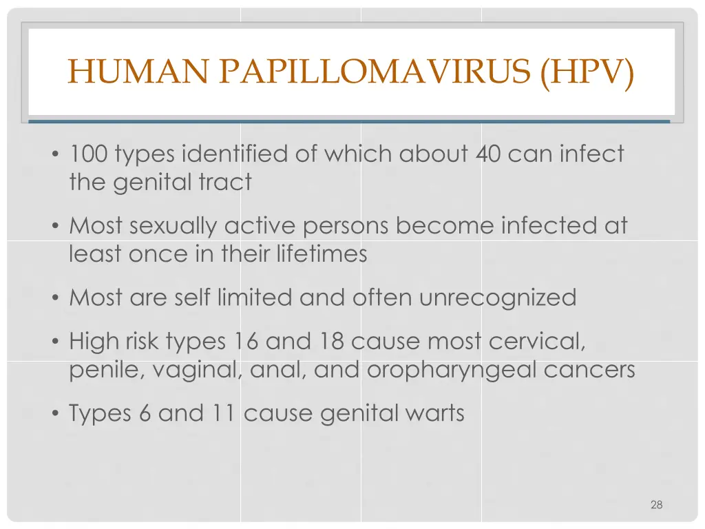 human papillomavirus hpv