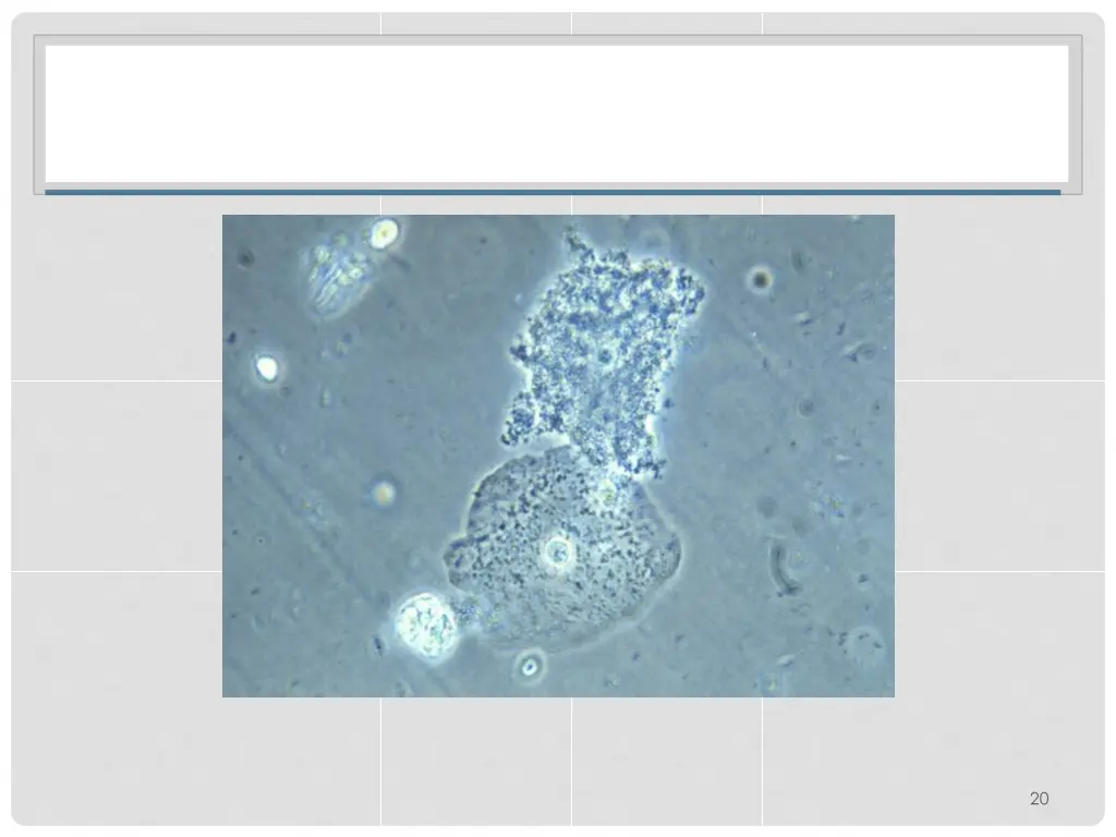 slide21