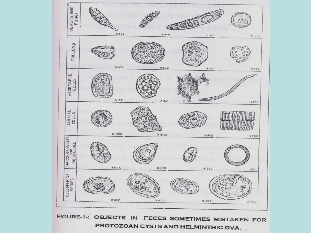 slide13