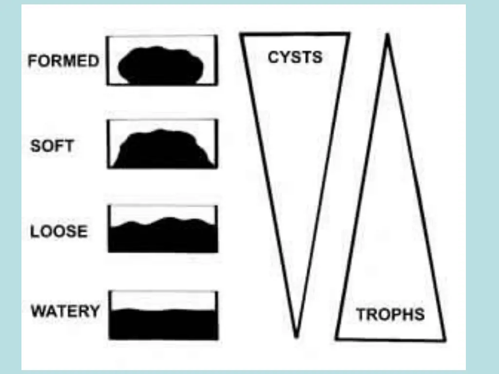 slide6