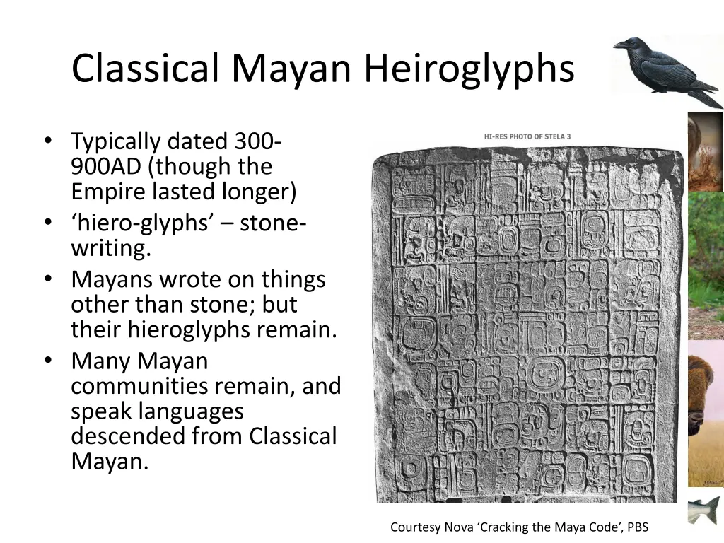 classical mayan heiroglyphs