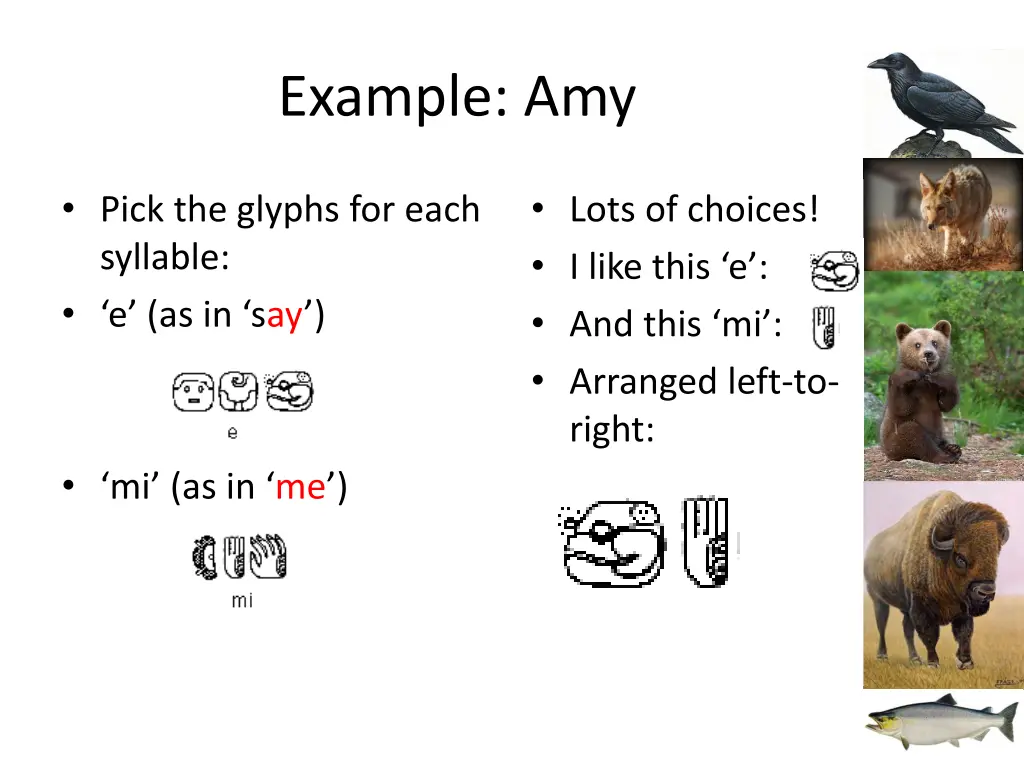 example amy