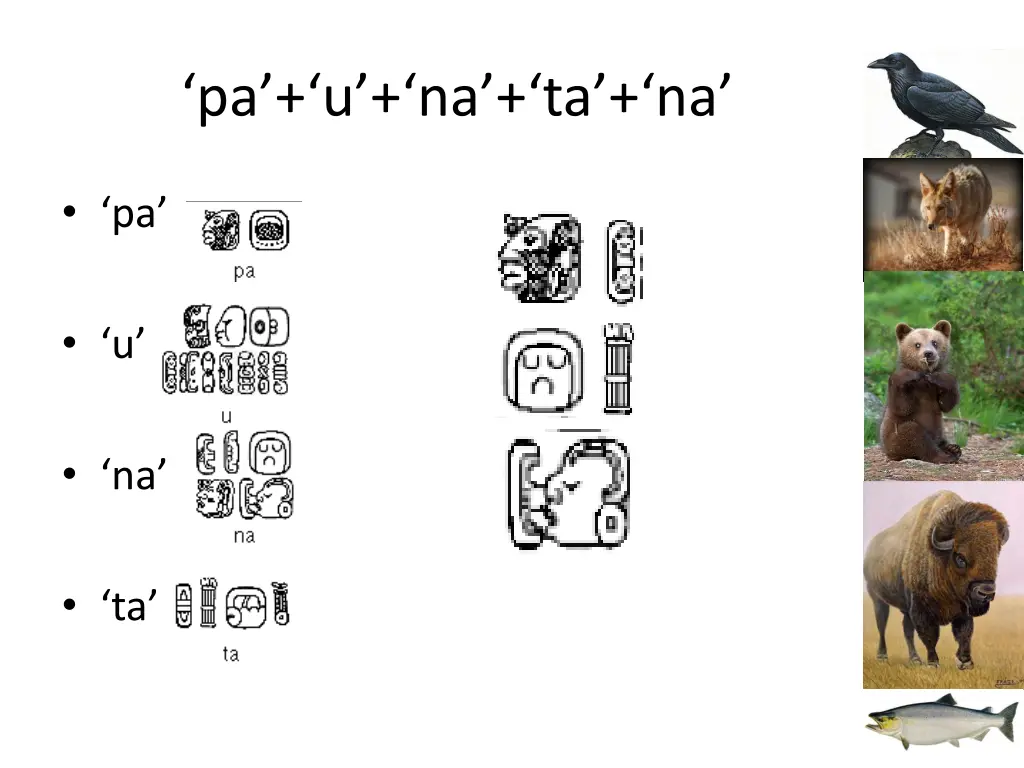 pa u na ta na