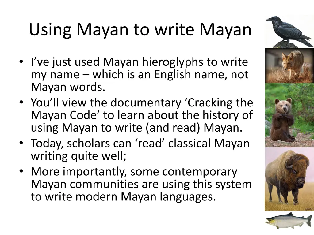 using mayan to write mayan