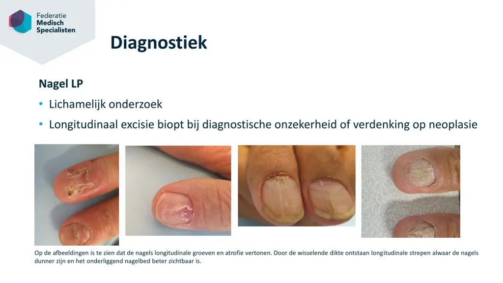 slide24