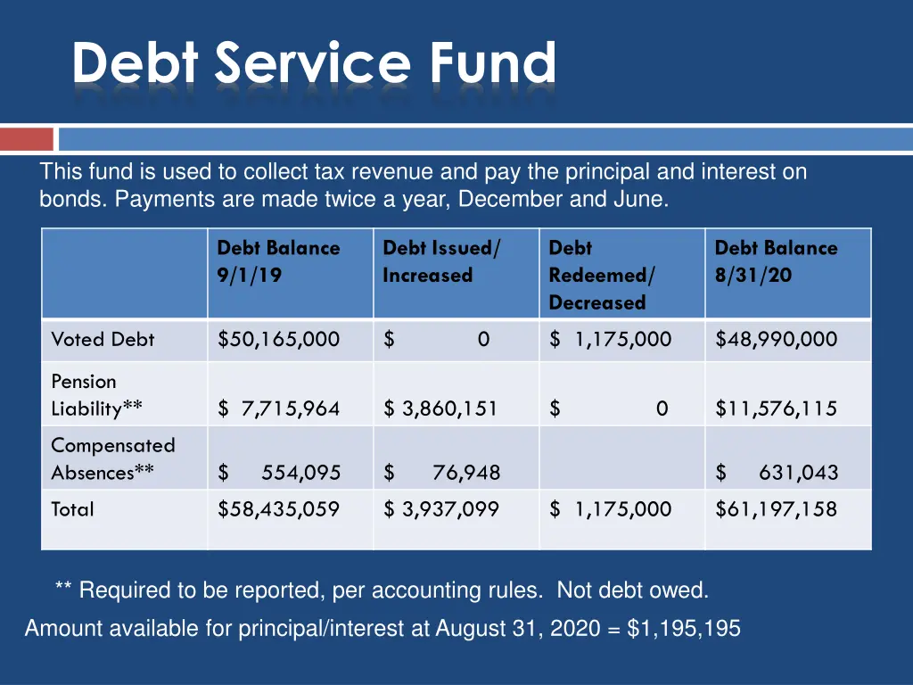 debt service fund