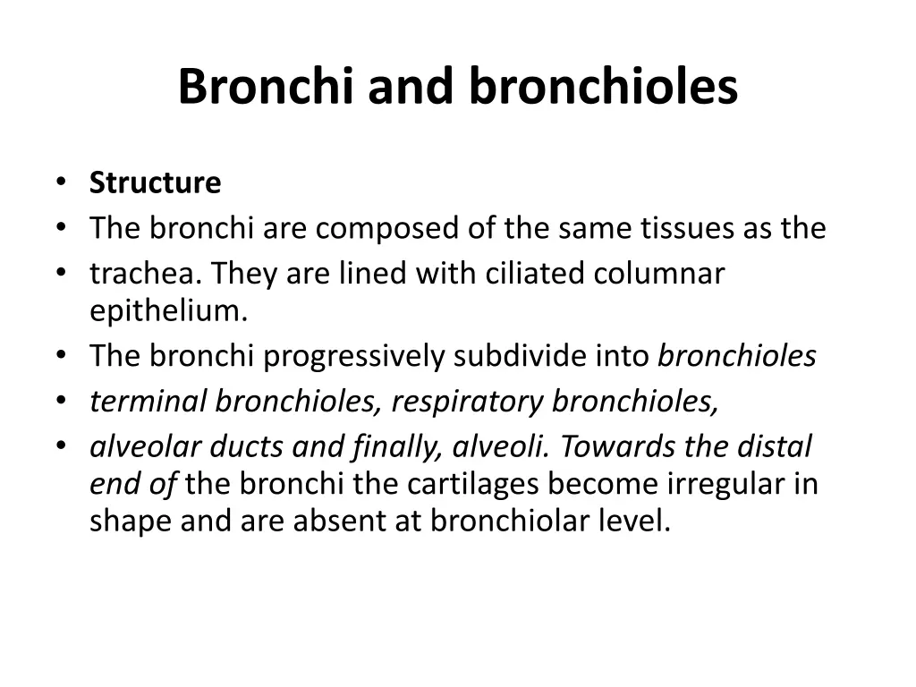 bronchi and bronchioles
