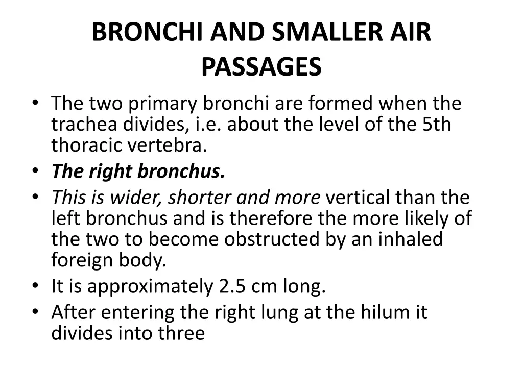 bronchi and smaller air passages the two primary