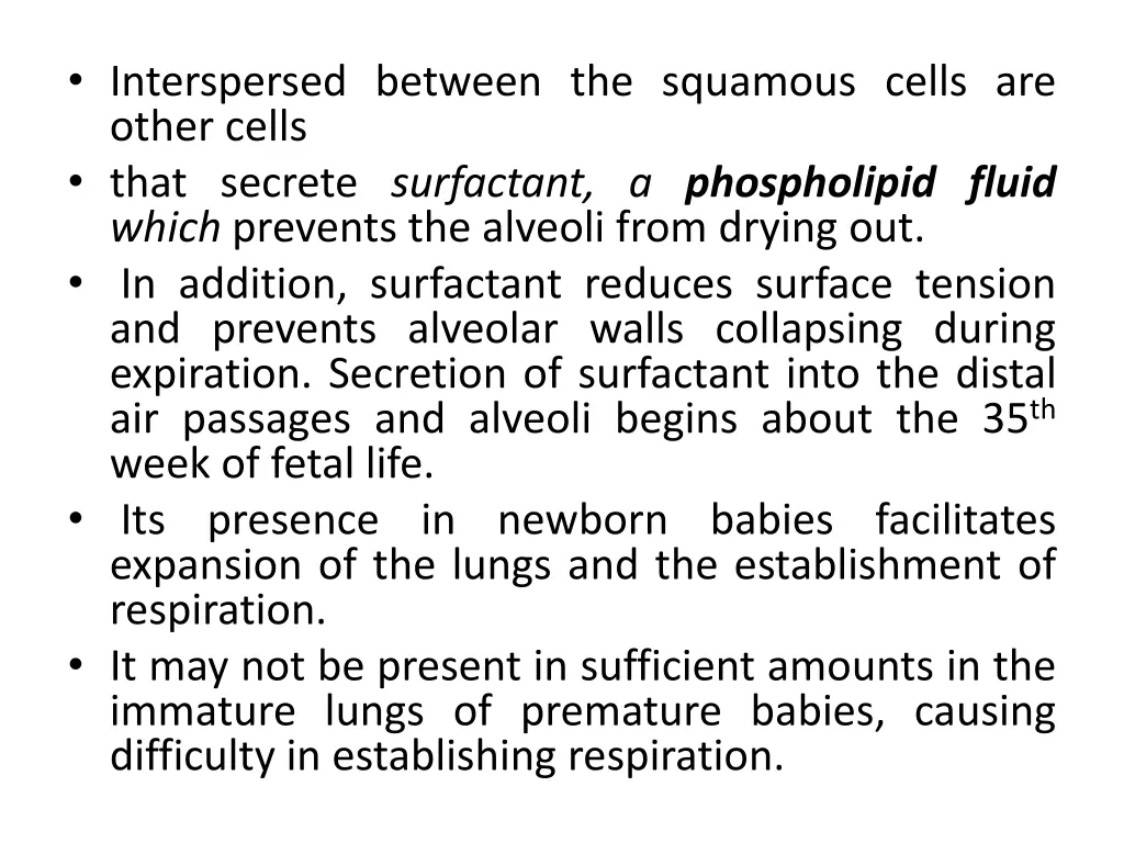 interspersed between the squamous cells are other