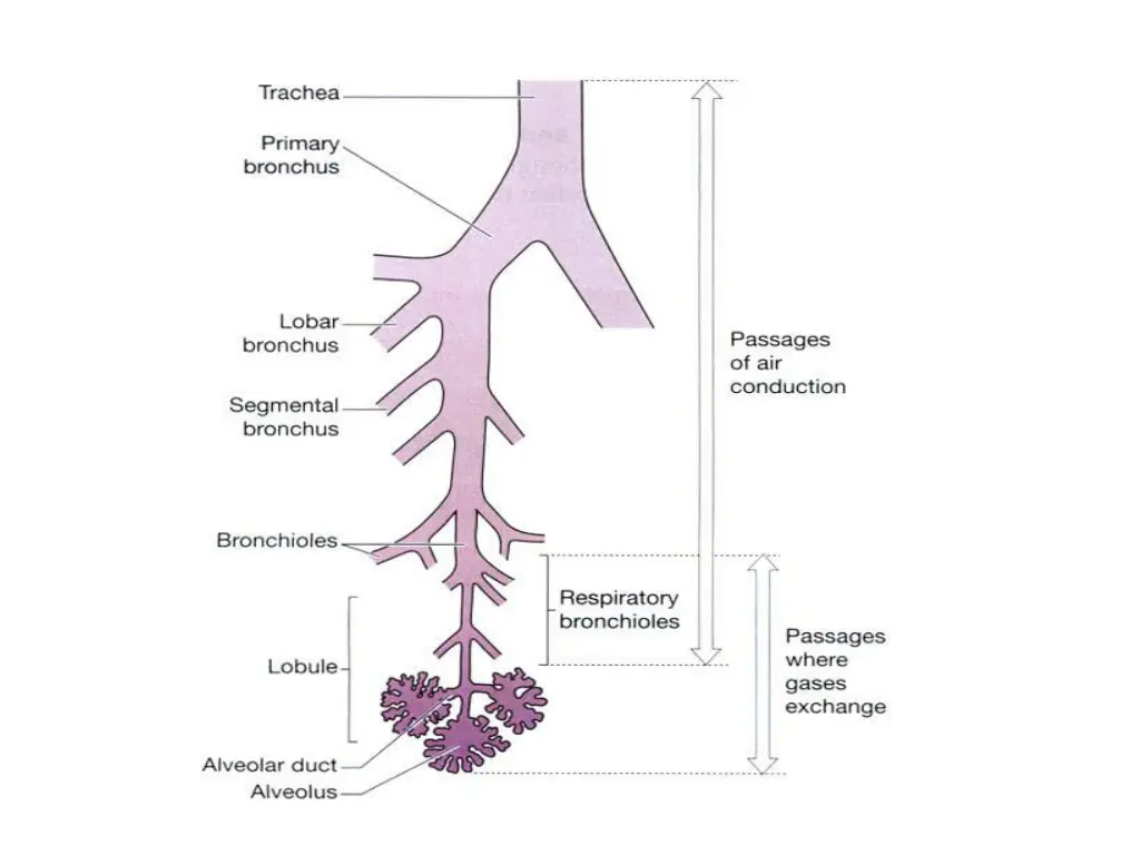 slide12