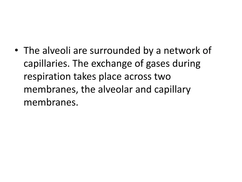 the alveoli are surrounded by a network