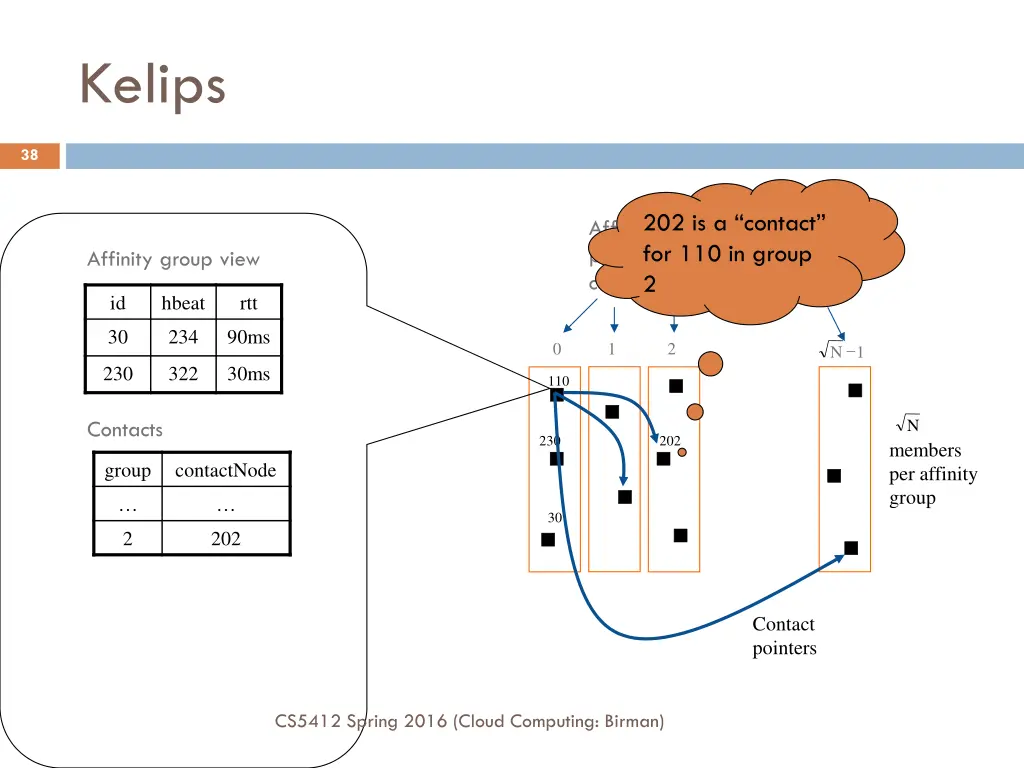 kelips 1