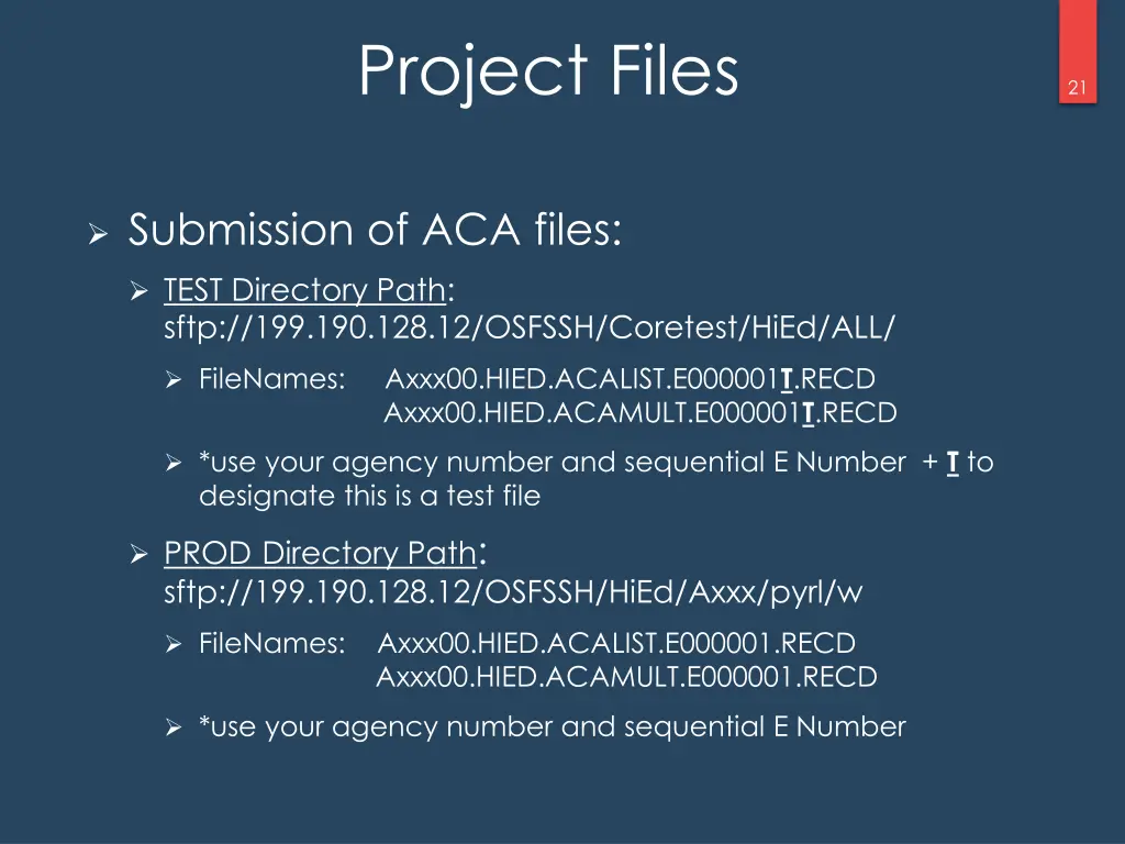 project files 1