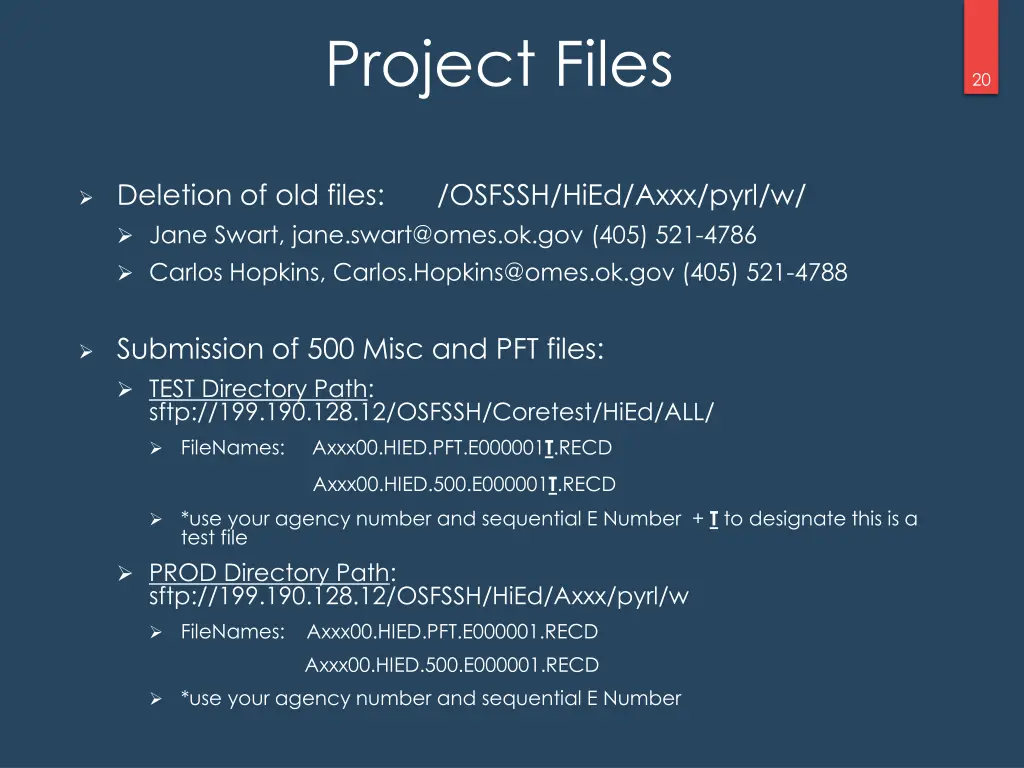 project files