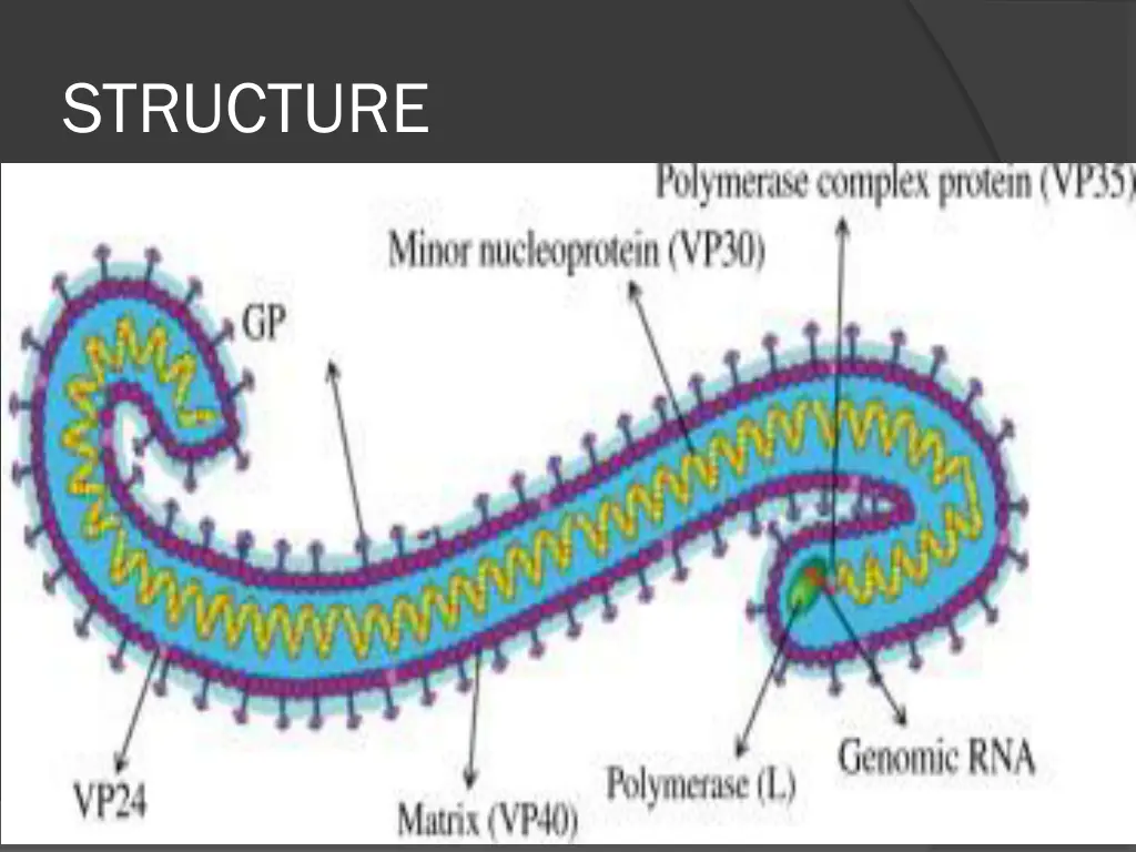 structure