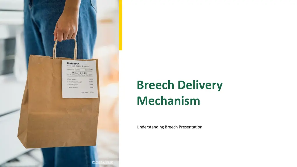 breech delivery mechanism