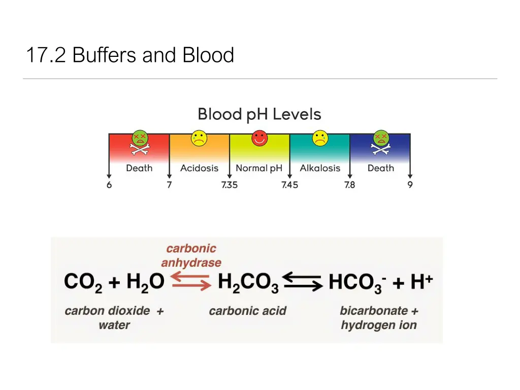 17 2 buffers and blood