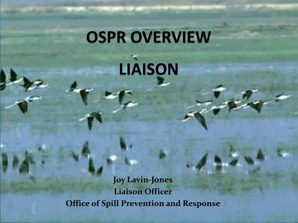 joy lavin jones liaison officer