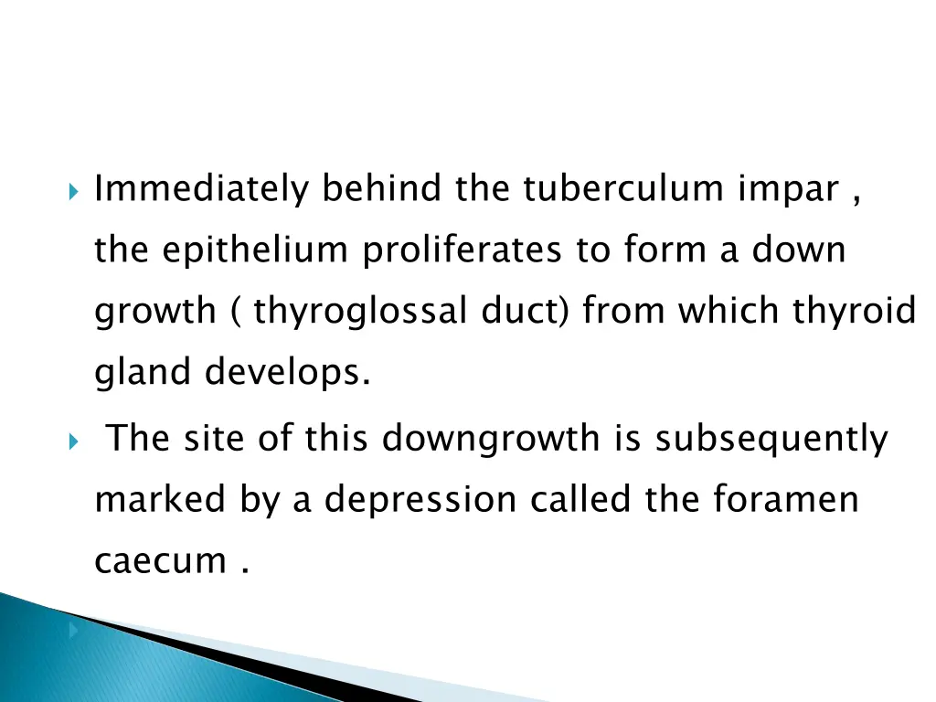 immediately behind the tuberculum impar