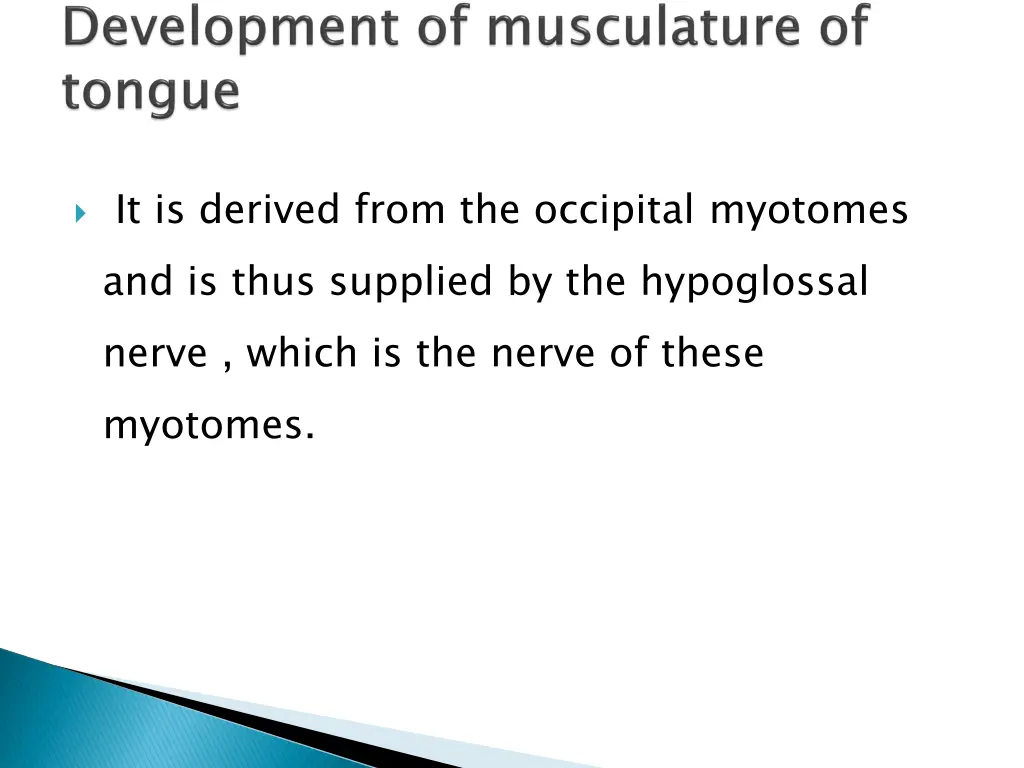 it is derived from the occipital myotomes