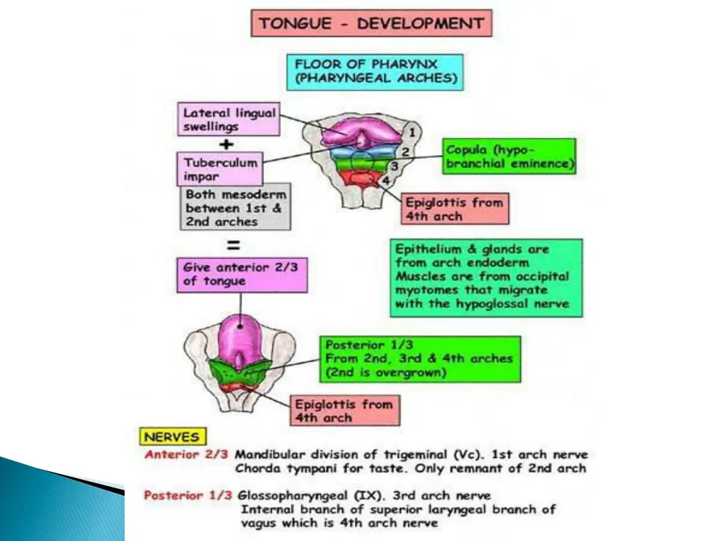 slide28