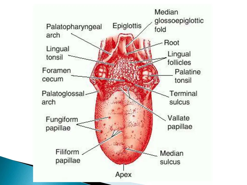 slide6