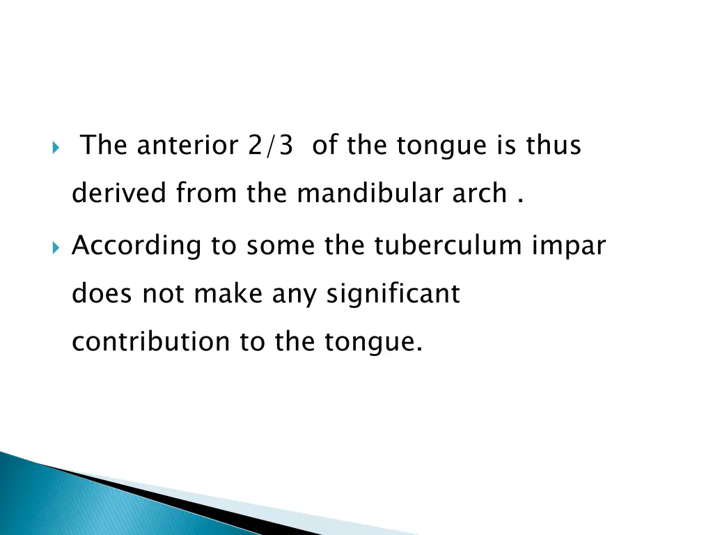 the anterior 2 3 of the tongue is thus derived
