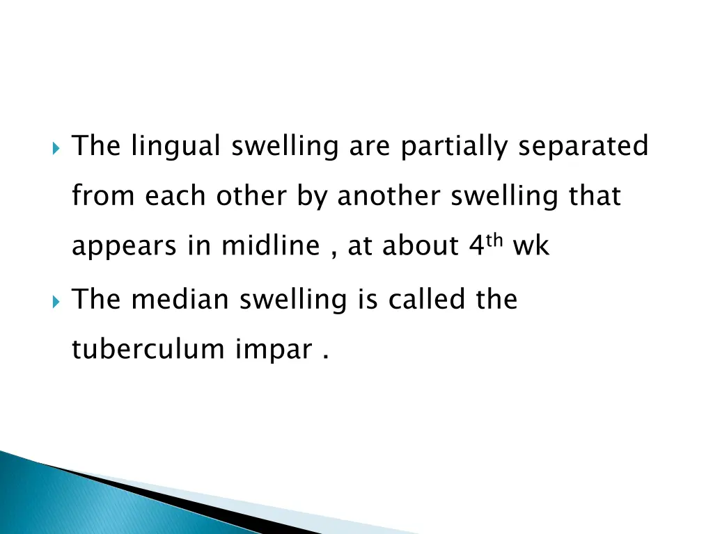 the lingual swelling are partially separated from