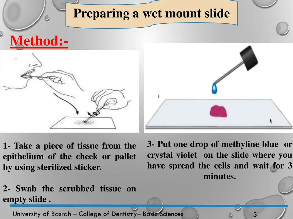 preparing a wet mount slide 1
