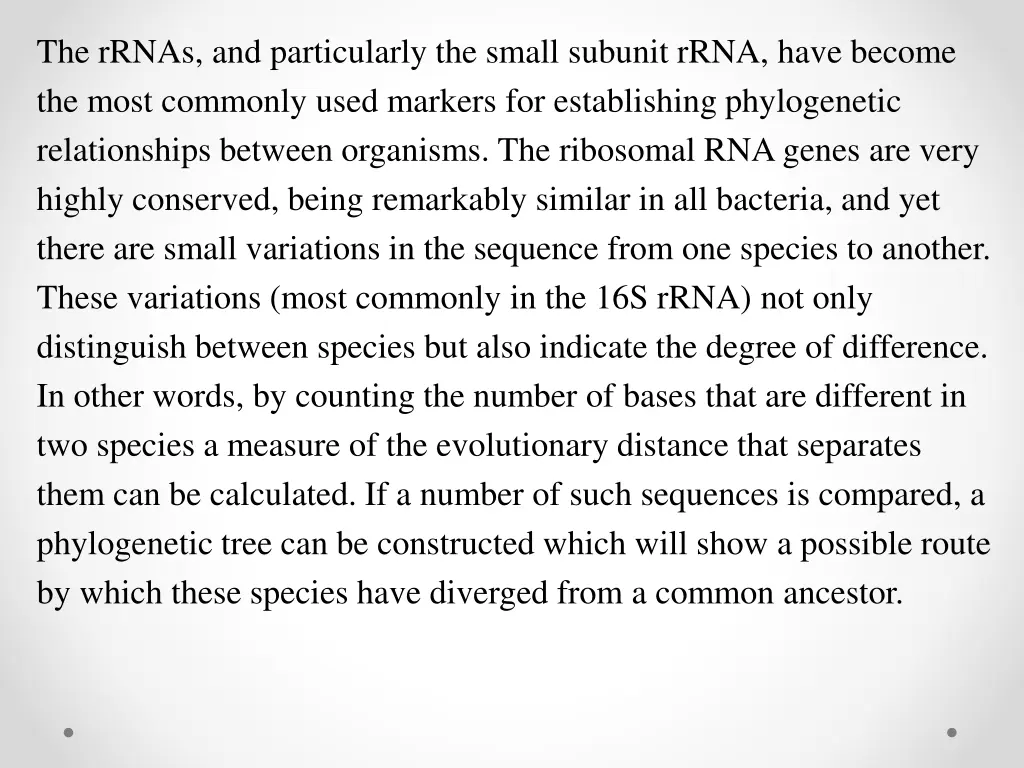 the rrnas and particularly the small subunit rrna