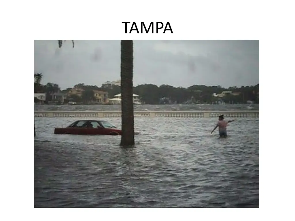 tampa