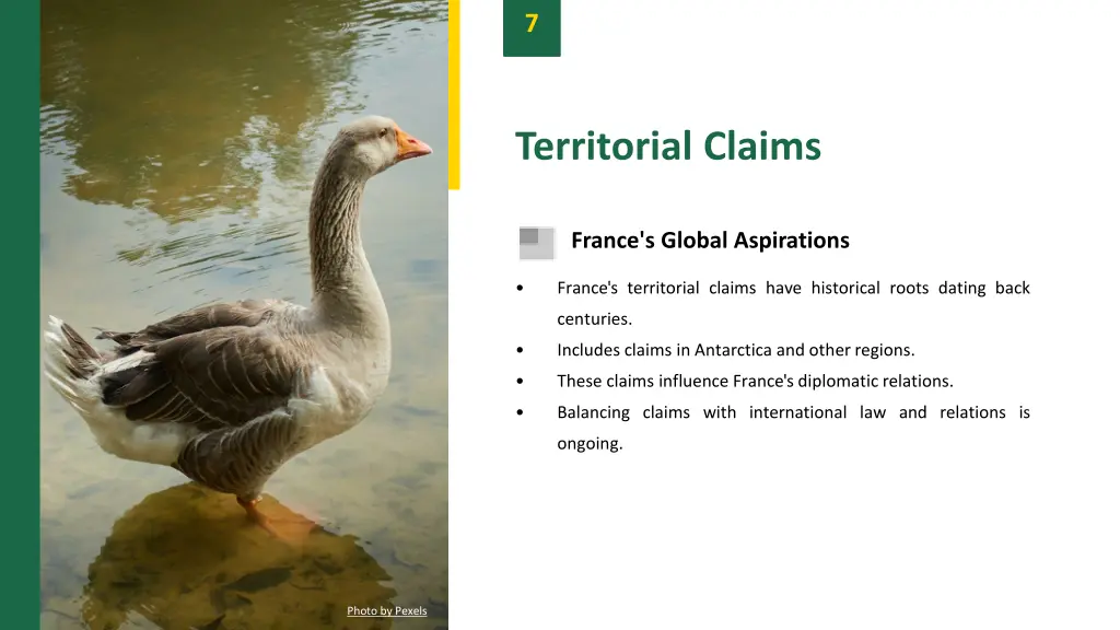 slide9