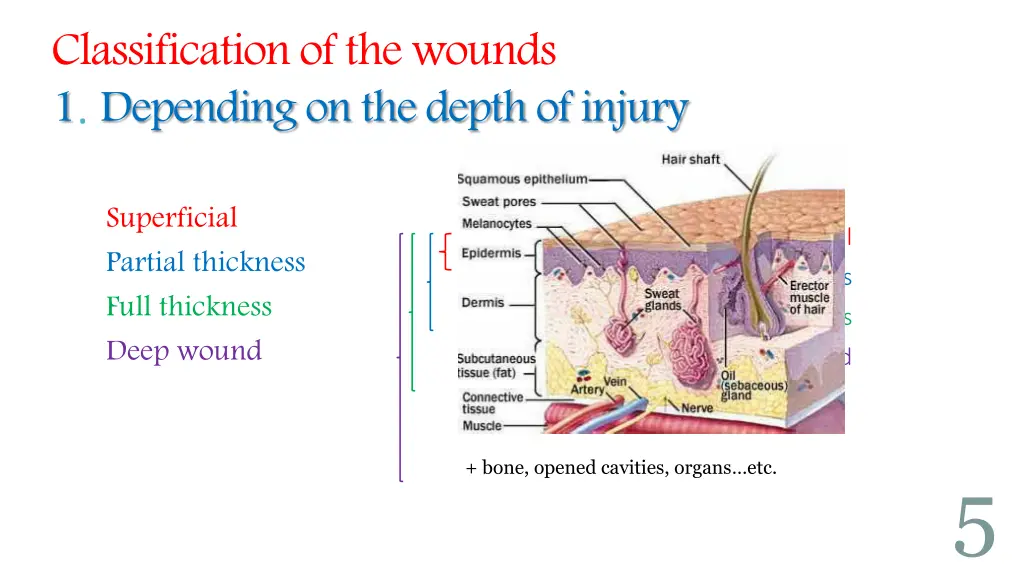 classification of the wounds