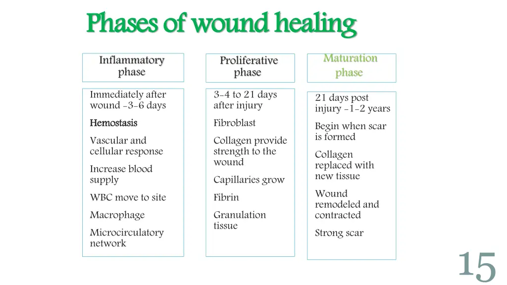 phases of wound healing