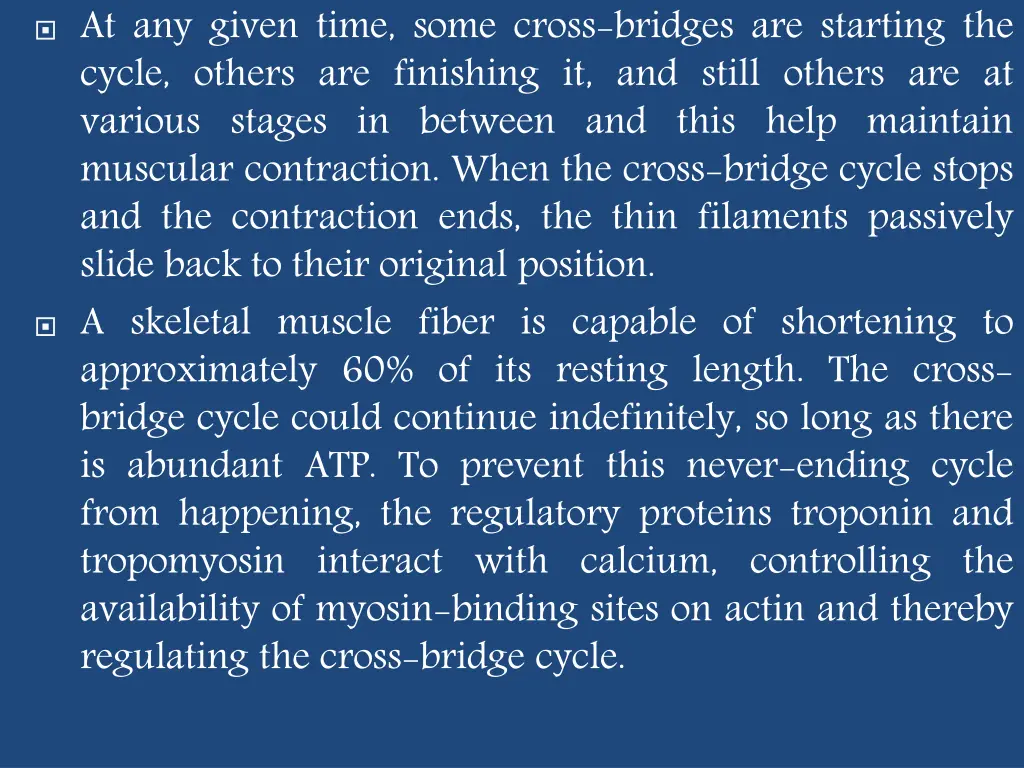 at any given time some cross bridges are starting