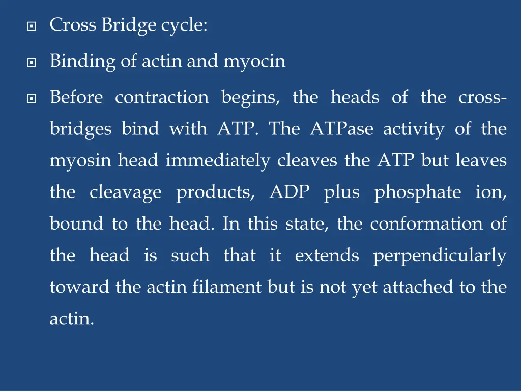 cross bridge cycle