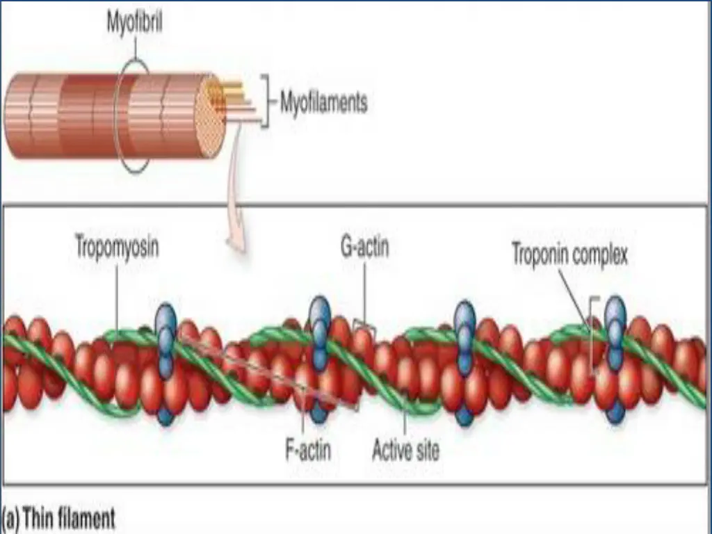 slide6