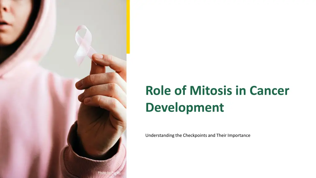 role of mitosis in cancer development