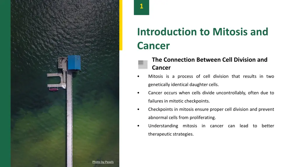 slide3