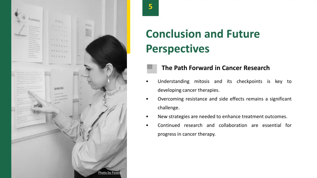 slide7