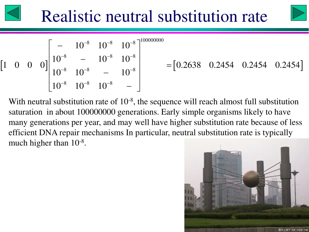 realistic neutral substitution rate