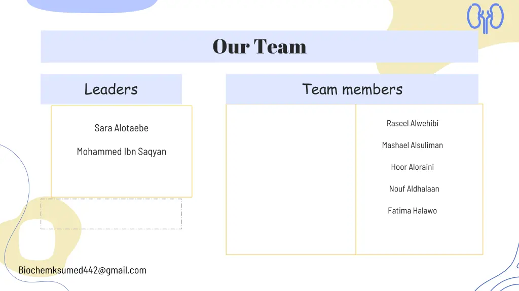our team