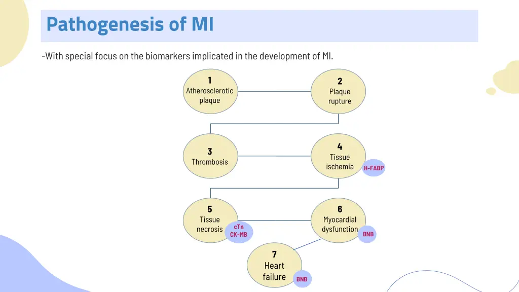 pathogenesis of mi