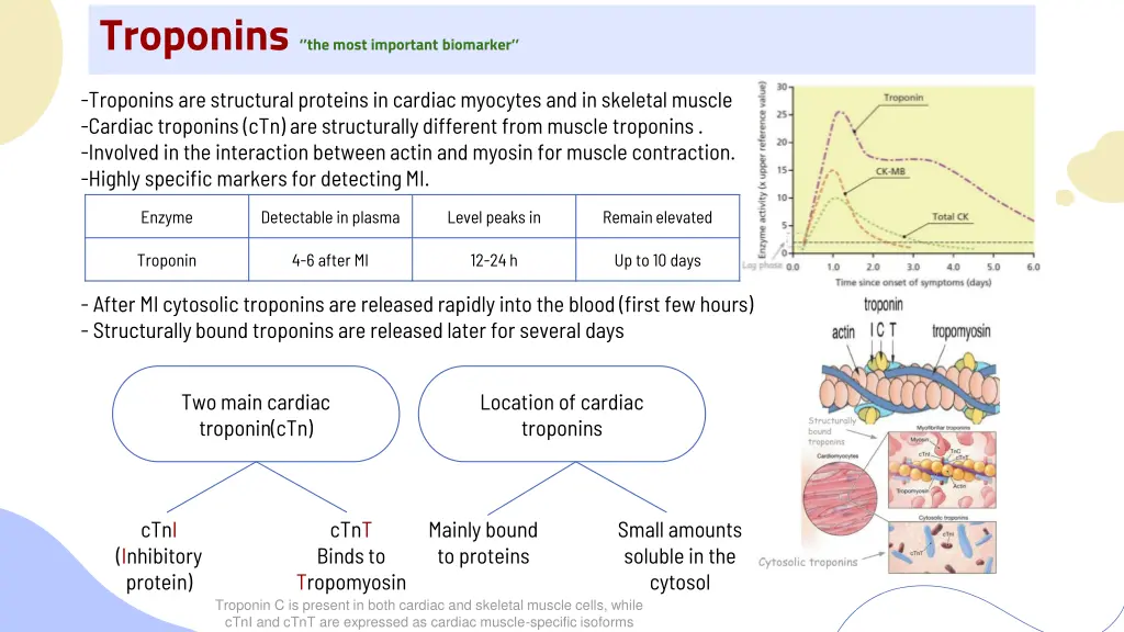 troponins the most important biomarker troponins