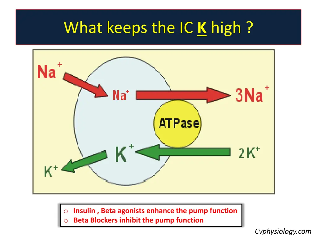 what keeps the ic k high