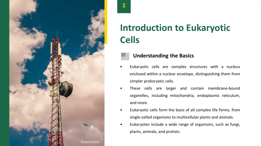 slide3