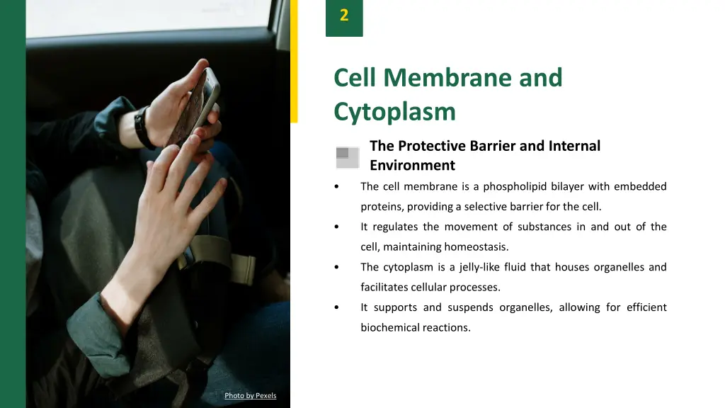 slide4