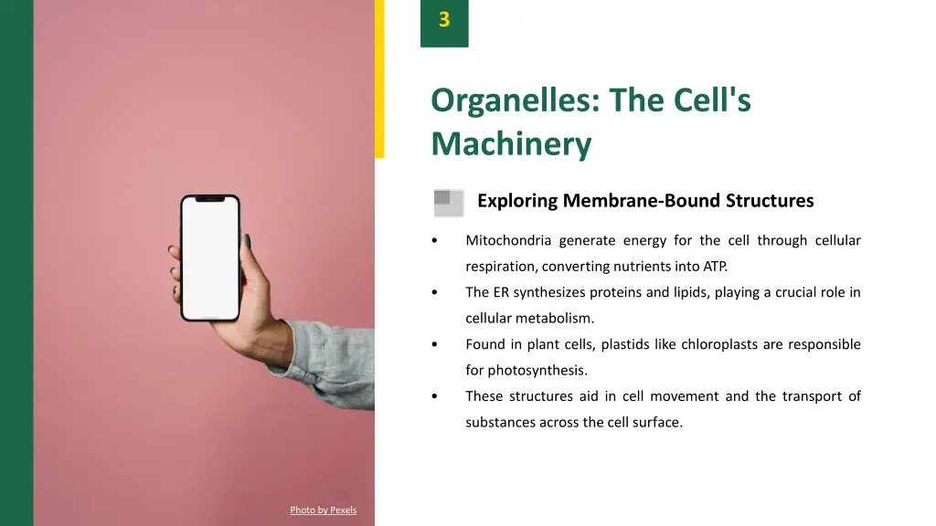 slide5