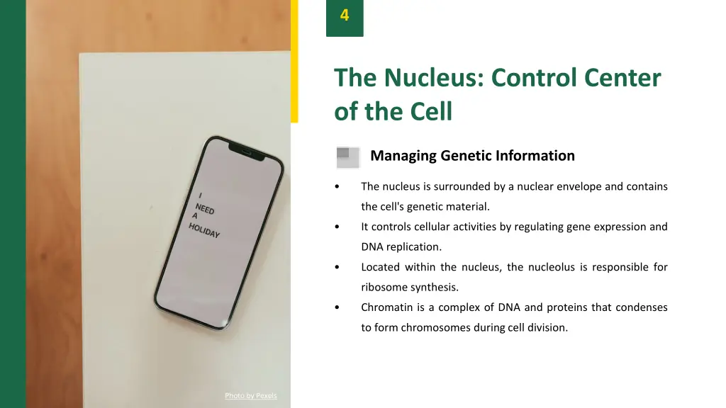slide6