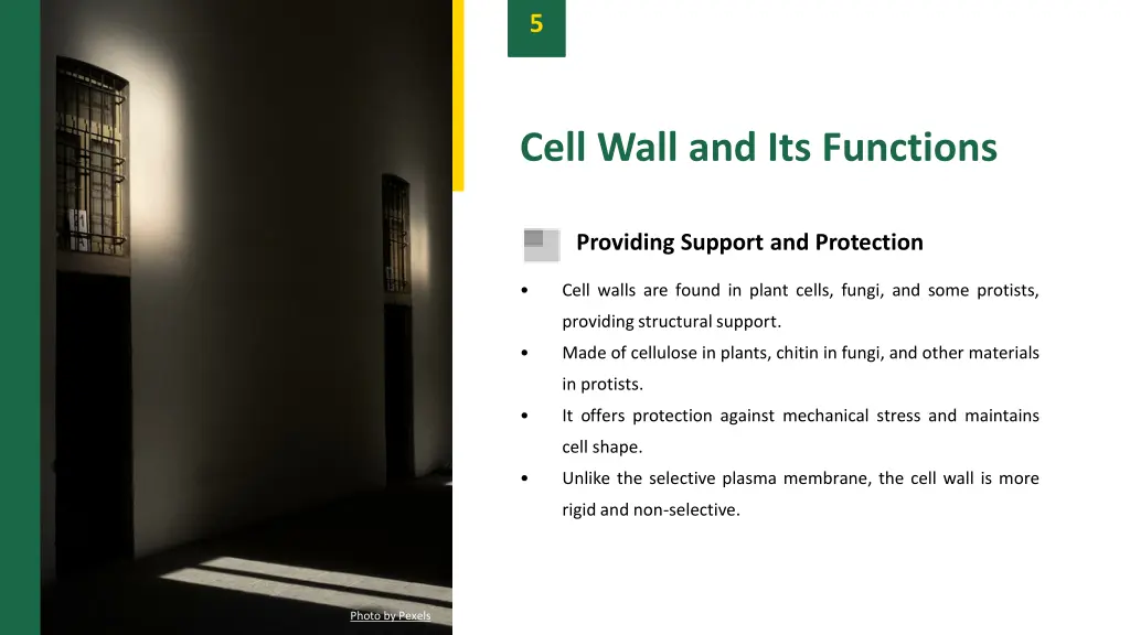 slide7